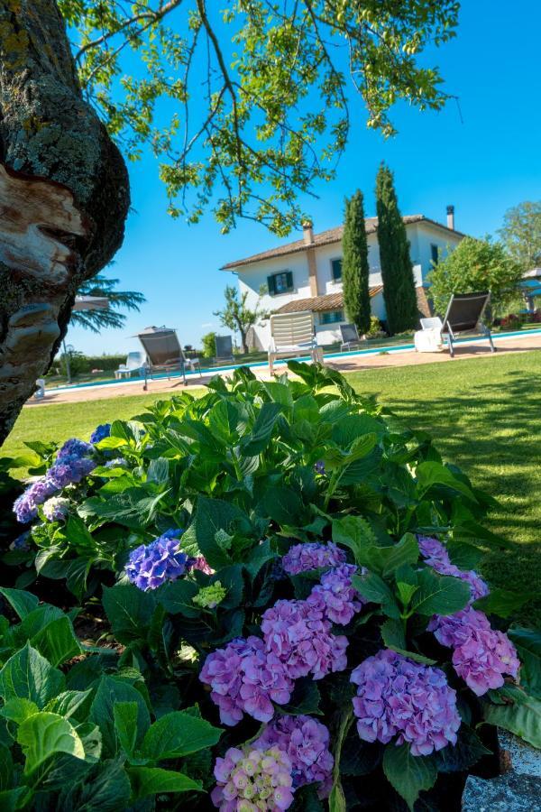 Il Raggio Di Sole Villa Bagnoregio Exterior photo